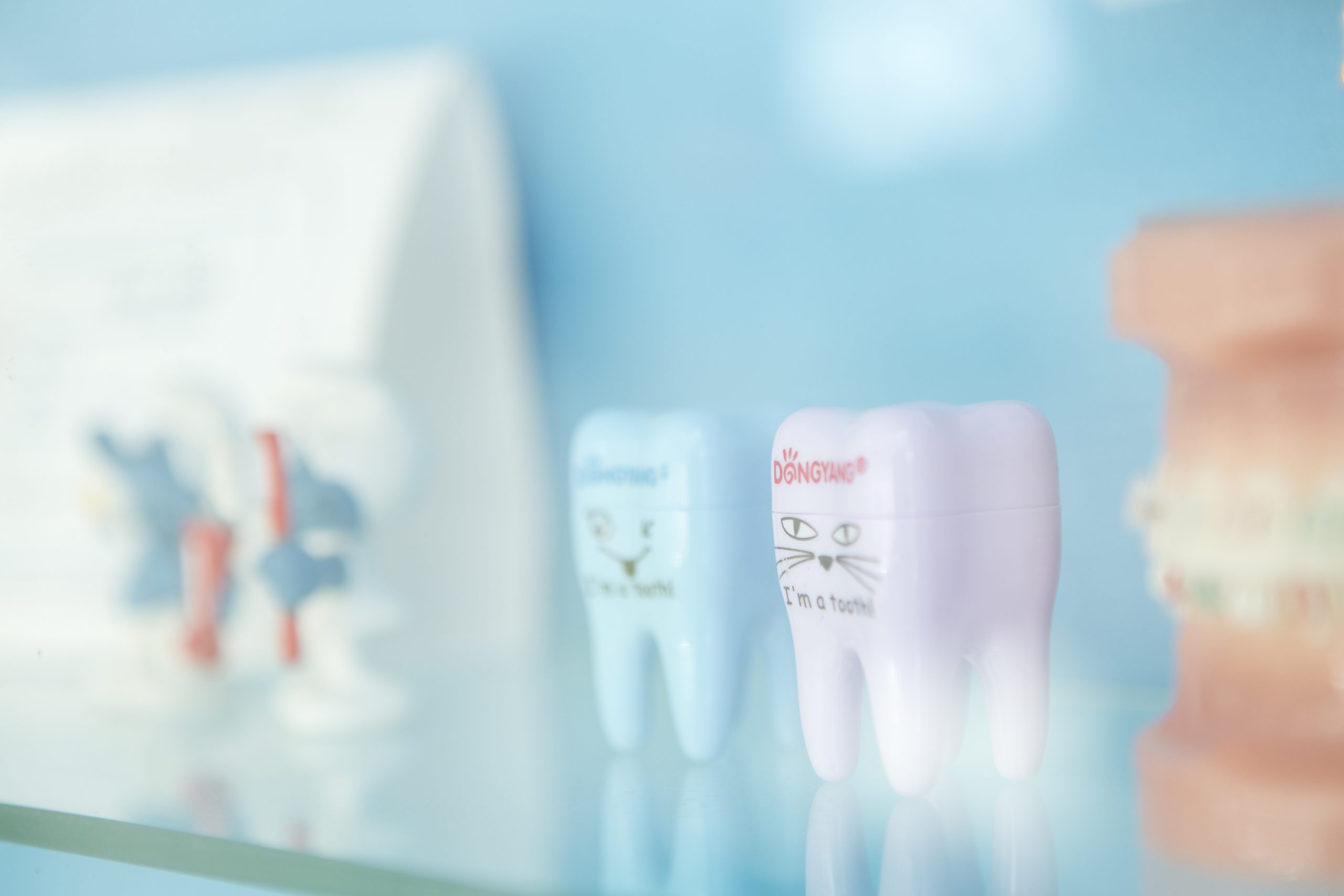 乳歯の役割と永久歯への影響について